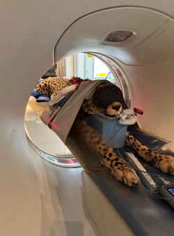 PHOTO-2025-10-27-14-10-59