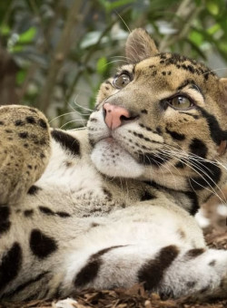 WhatsApp-Image-2024-10-10-at-21.14.51