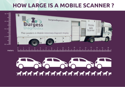 HOW LARGE IS A MOBILE CTMRI SCANNER  (3)