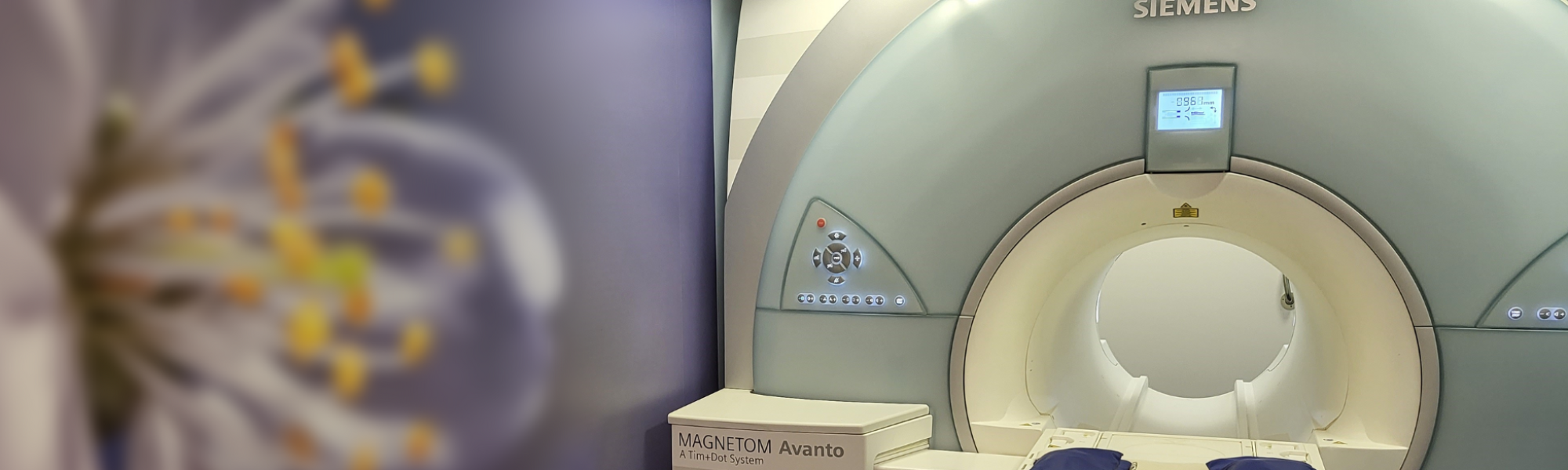The Leaders in Veterinary CT and MRI (1)