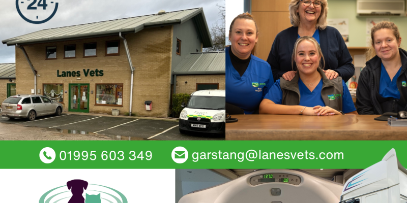 Lanes Vet Launch Post