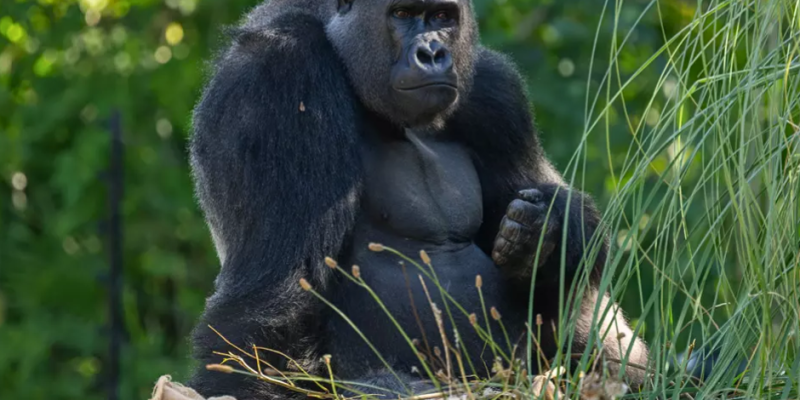 Untitled design (24)