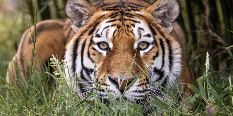 Luca-17th-July-Jack-Valpy-2