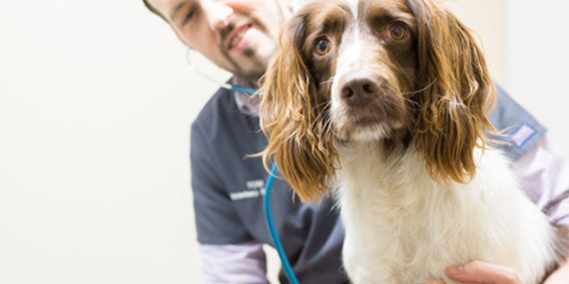 north wales referrals