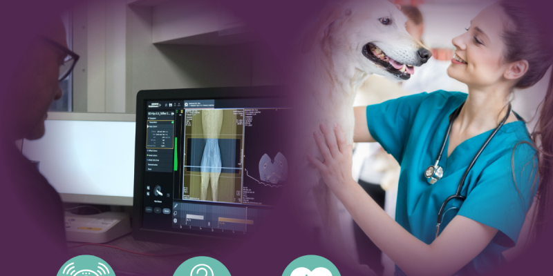 Copy of MRI case study - LinkedIN & e-Blast