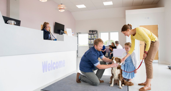 {Pet owner in reception