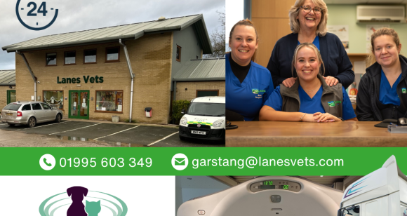Lanes Vet Launch Post