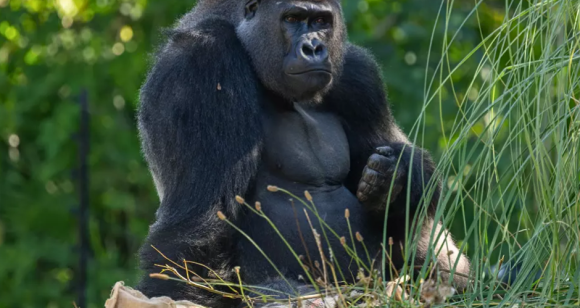 Untitled design (24)