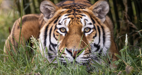 Luca-17th-July-Jack-Valpy-2