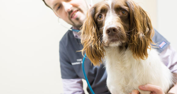 north wales referrals