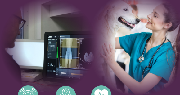 Copy of MRI case study - LinkedIN & e-Blast