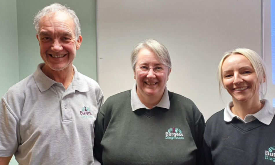 Untitled design (39)