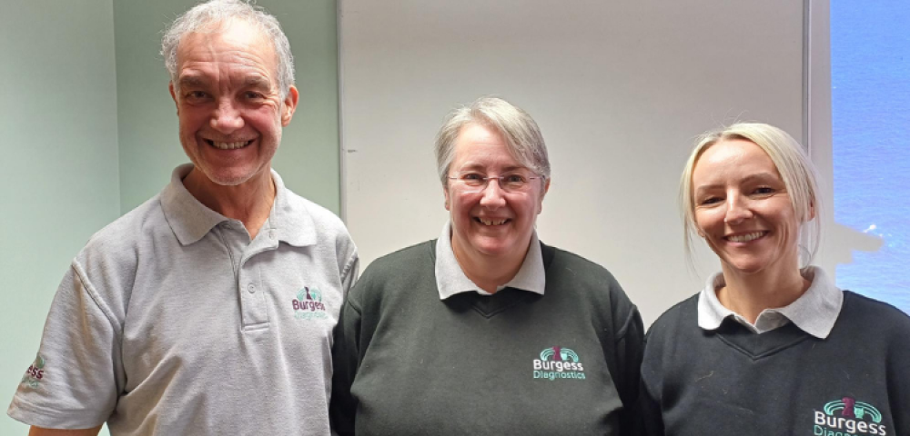 Untitled design (39)