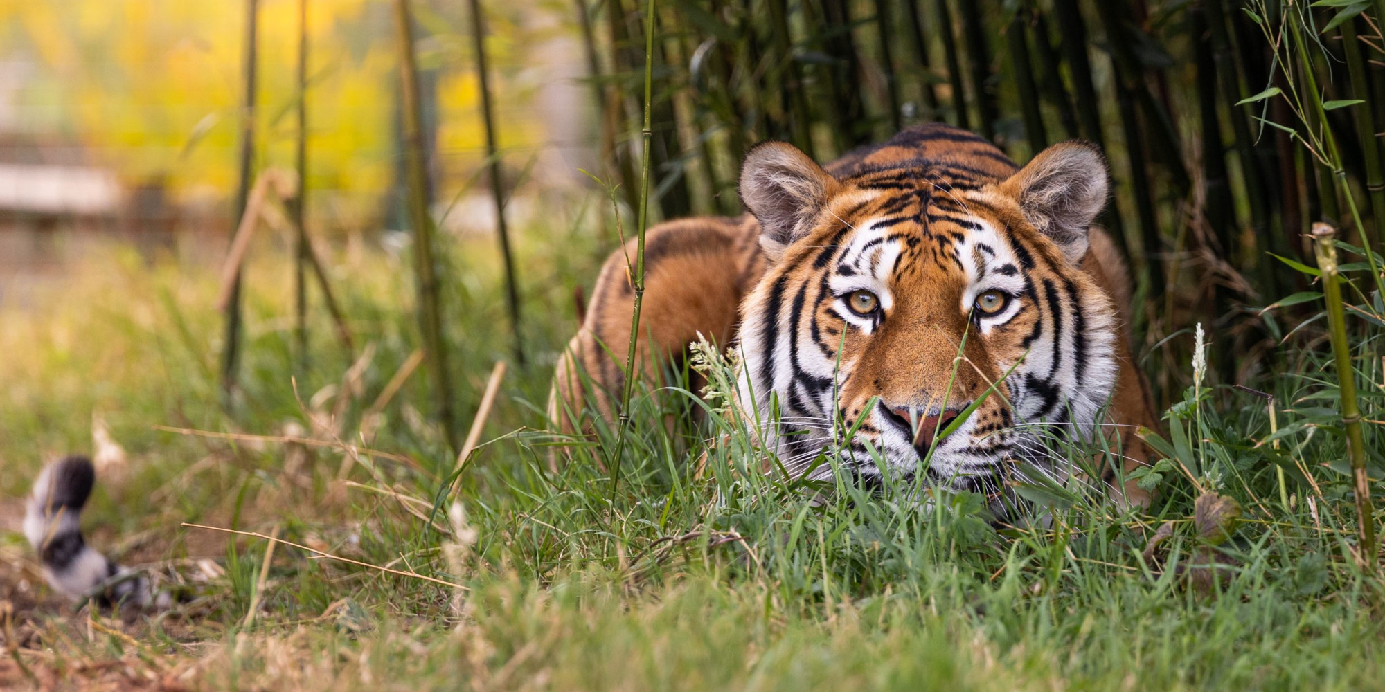 {Luca-17th-July-Jack-Valpy-1-scaled