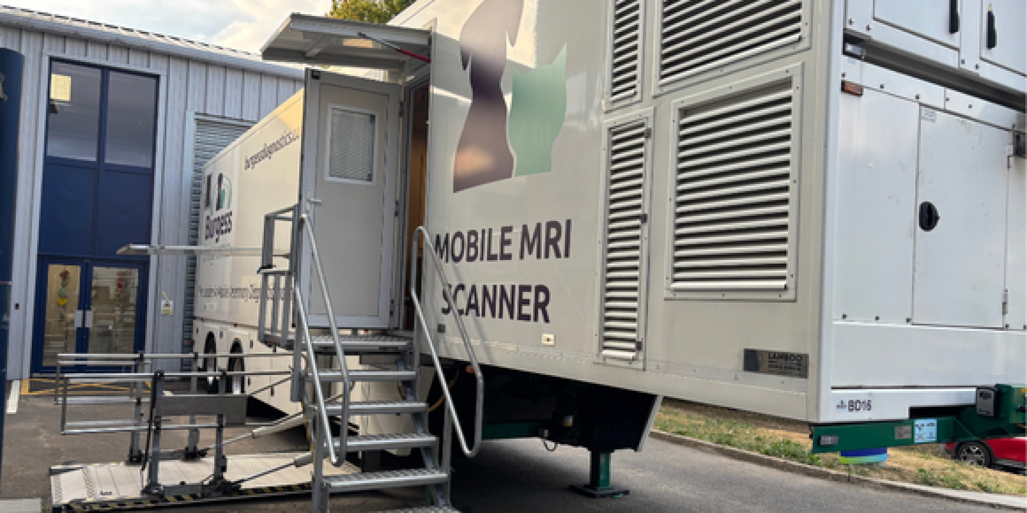 Untitled design (31)