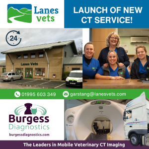 Lanes Vet Launch Post