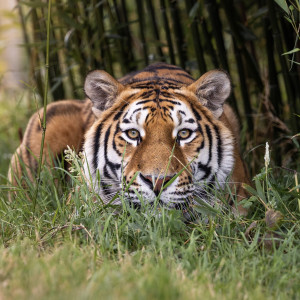 Luca-17th-July-Jack-Valpy-2