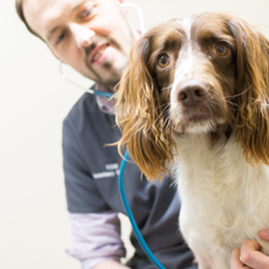 north wales referrals