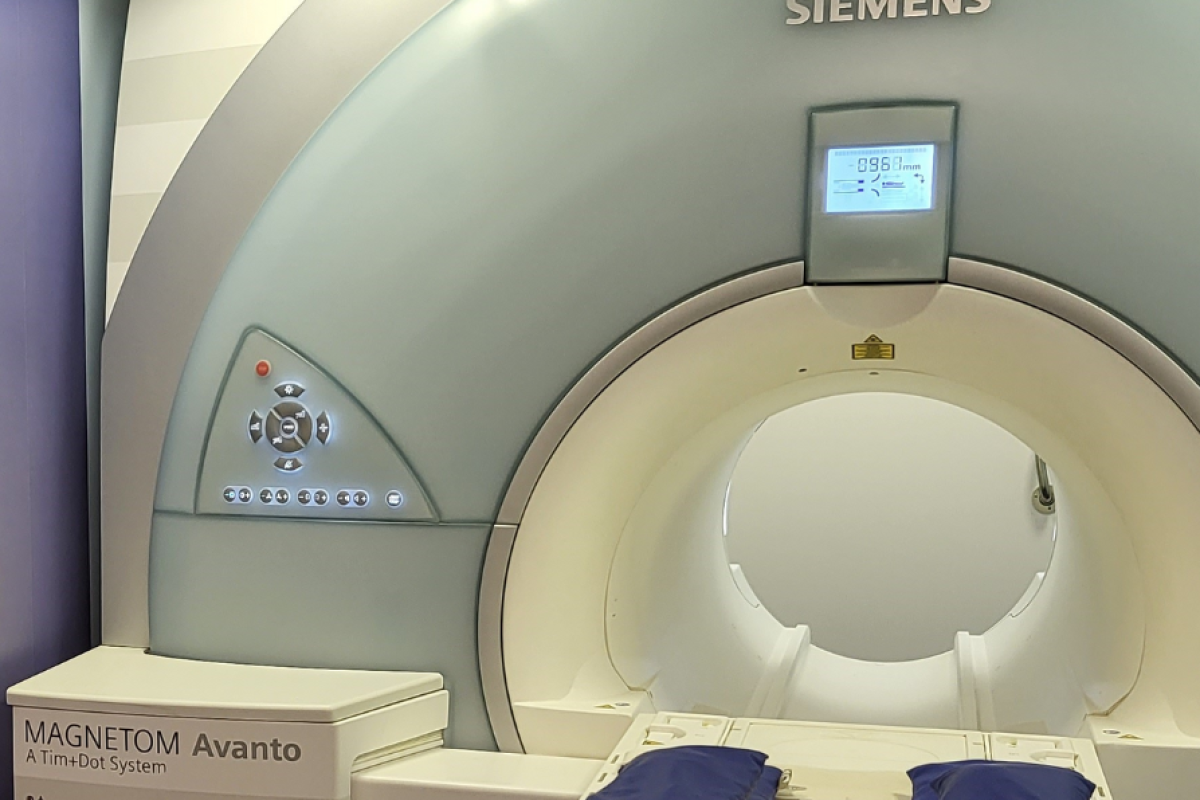 Veterinary mri sales near me
