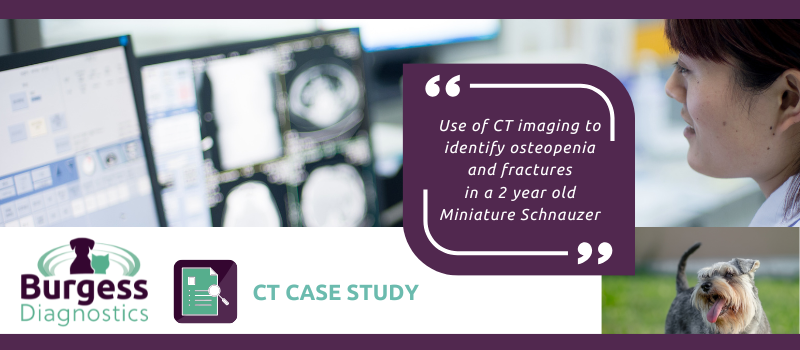 NEW CT IMAGING CASE STUDY! (800 × 400px)