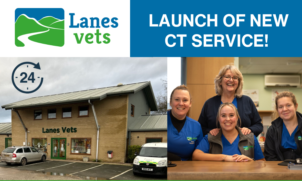 Lanes Vet Launch Post 1