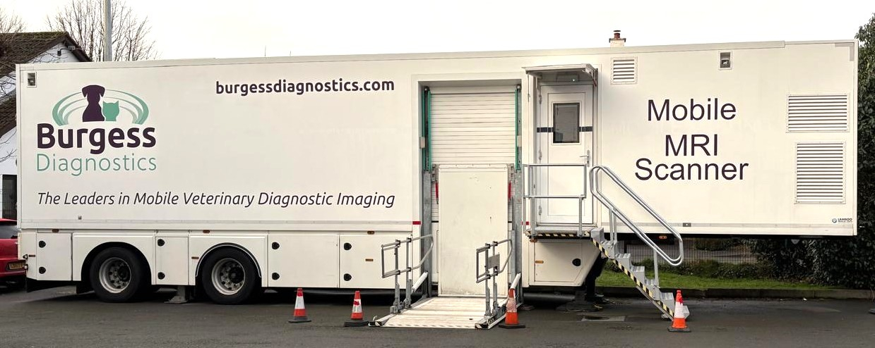 IMG-20250217-WA0002 (1)