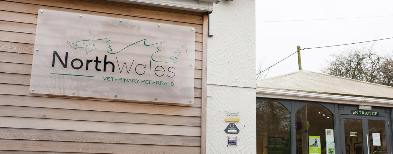 north wales referrals 2